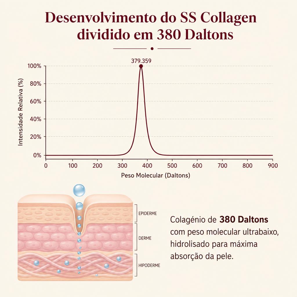 Gráfico do desenvolvimento do SS Collagen dividido em 380 Daltons e ilustração da absorção pela pele
